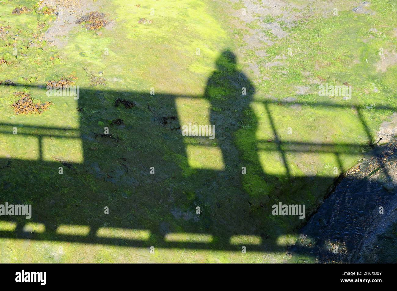 Shadow cast a bassa marea, Prinsted, West Sussex. Foto Stock