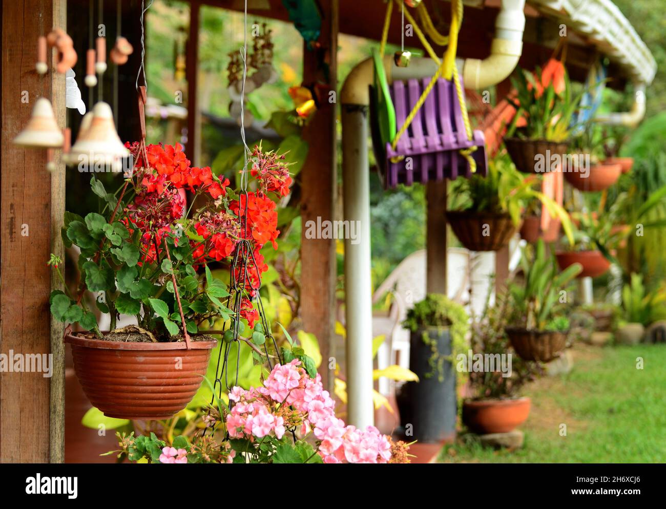 una finca tradizionale decorata con fiori colorati. Colombia Foto Stock