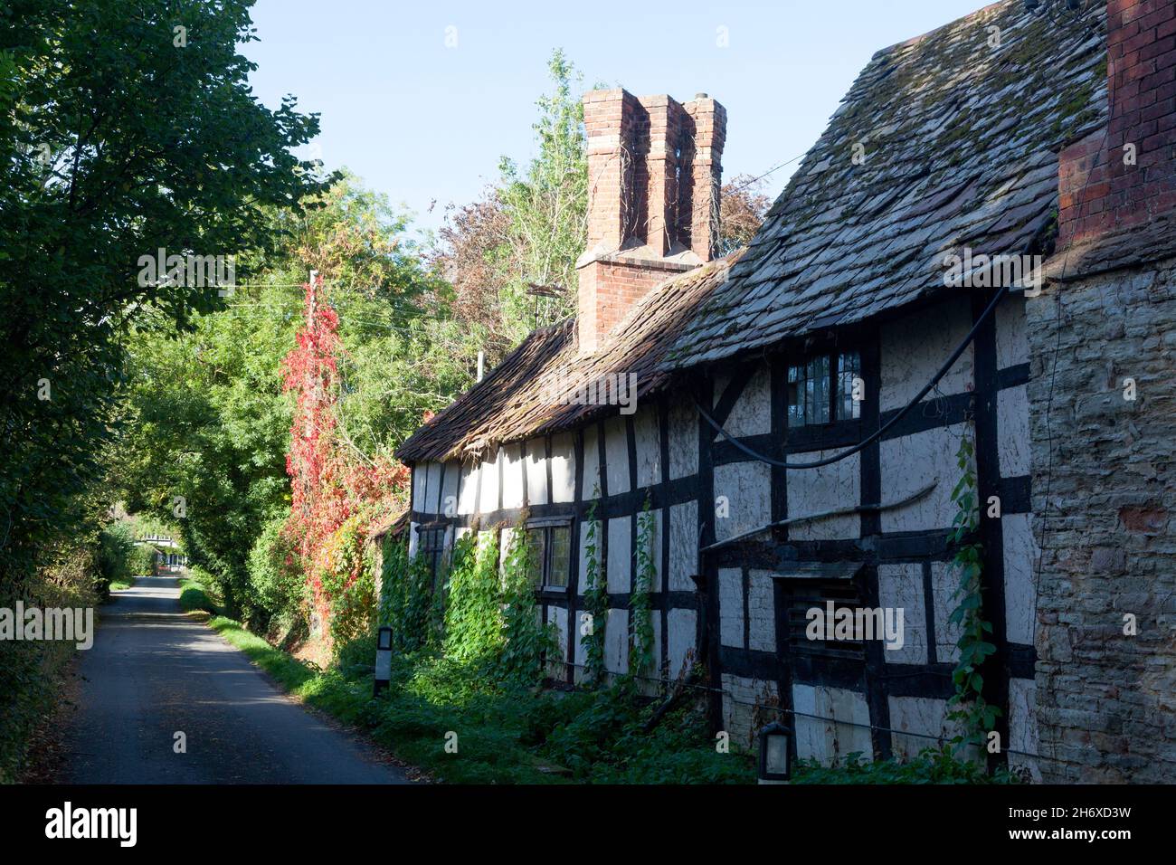 Vecchio cottage a graticcio accanto a Country Lane, Eardisland, Herefordshire Foto Stock