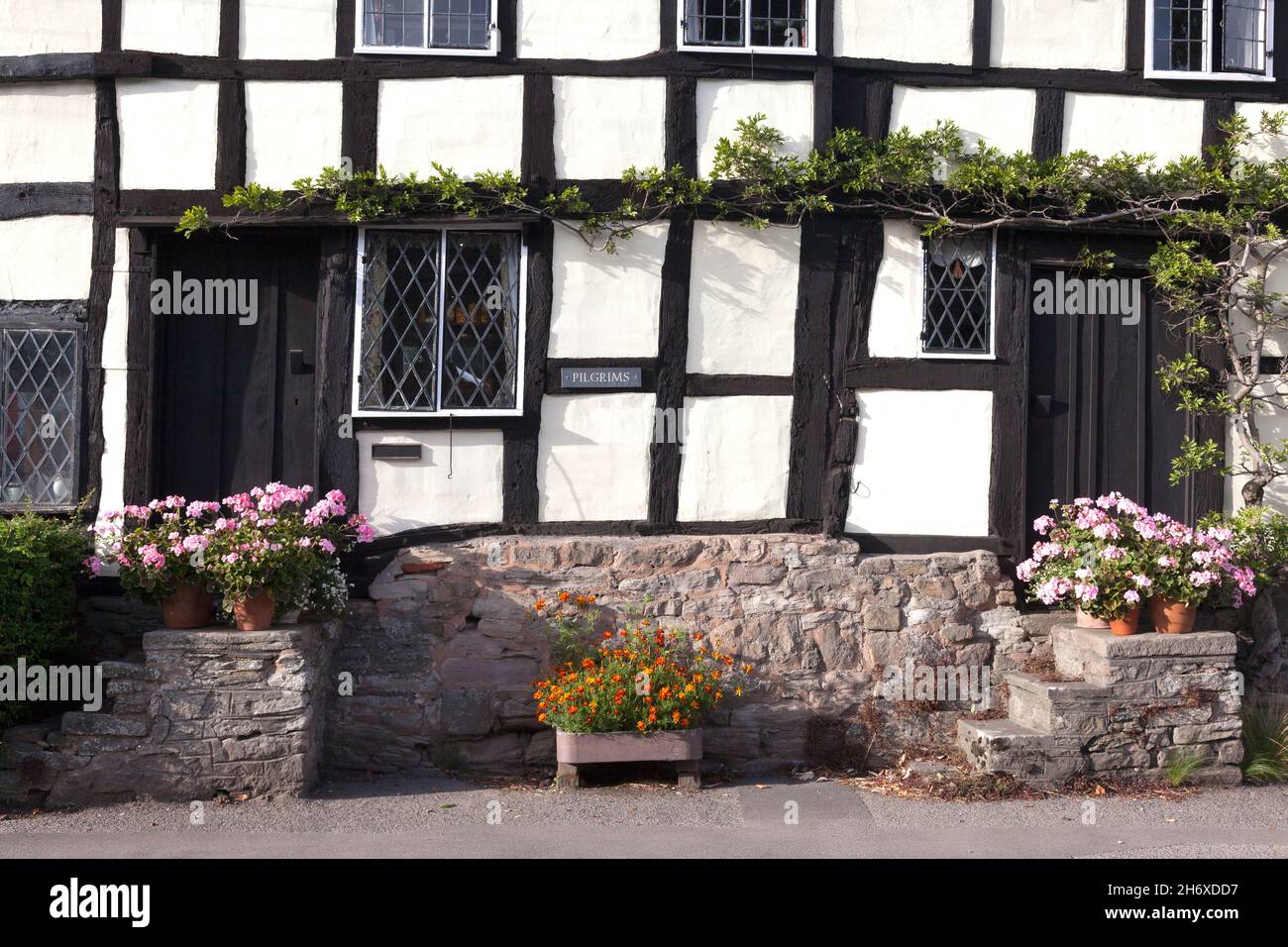 'Pellegrini', Pembridge, Herefordshire Foto Stock