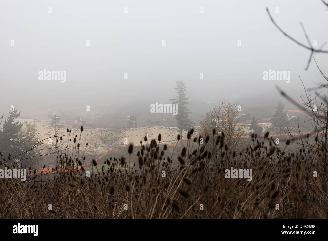 Ripulire un'area naturale per la costruzione di una nuova casa di sviluppo che si svolge in una mattinata nebbia a Eugene, Oregon. Foto Stock