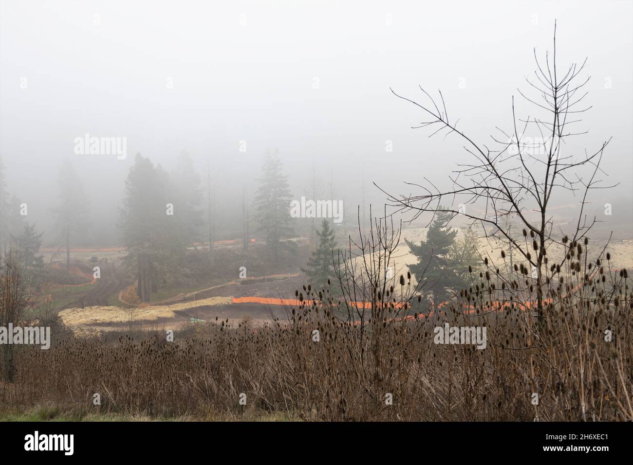 Ripulire un'area naturale per la costruzione di una nuova casa di sviluppo che si svolge in una mattinata nebbia a Eugene, Oregon. Foto Stock