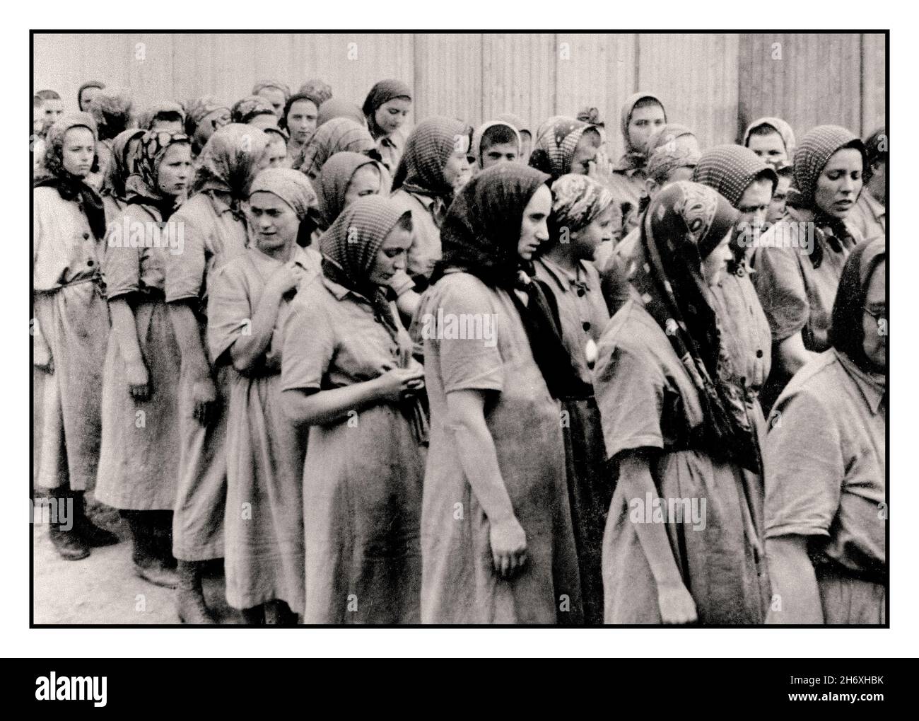 Auschwitz-Birkenau, 1942 donne della Russia Subcarpatica che sono state selezionate dai loro prigionieri nazisti per il lavoro forzato ad Auschwitz-Birkenau, marciano verso le loro caserme dopo la disinfezione e la depilazione indossando il vestito del tipo di prigione grossolana statuario e foulard Foto Stock