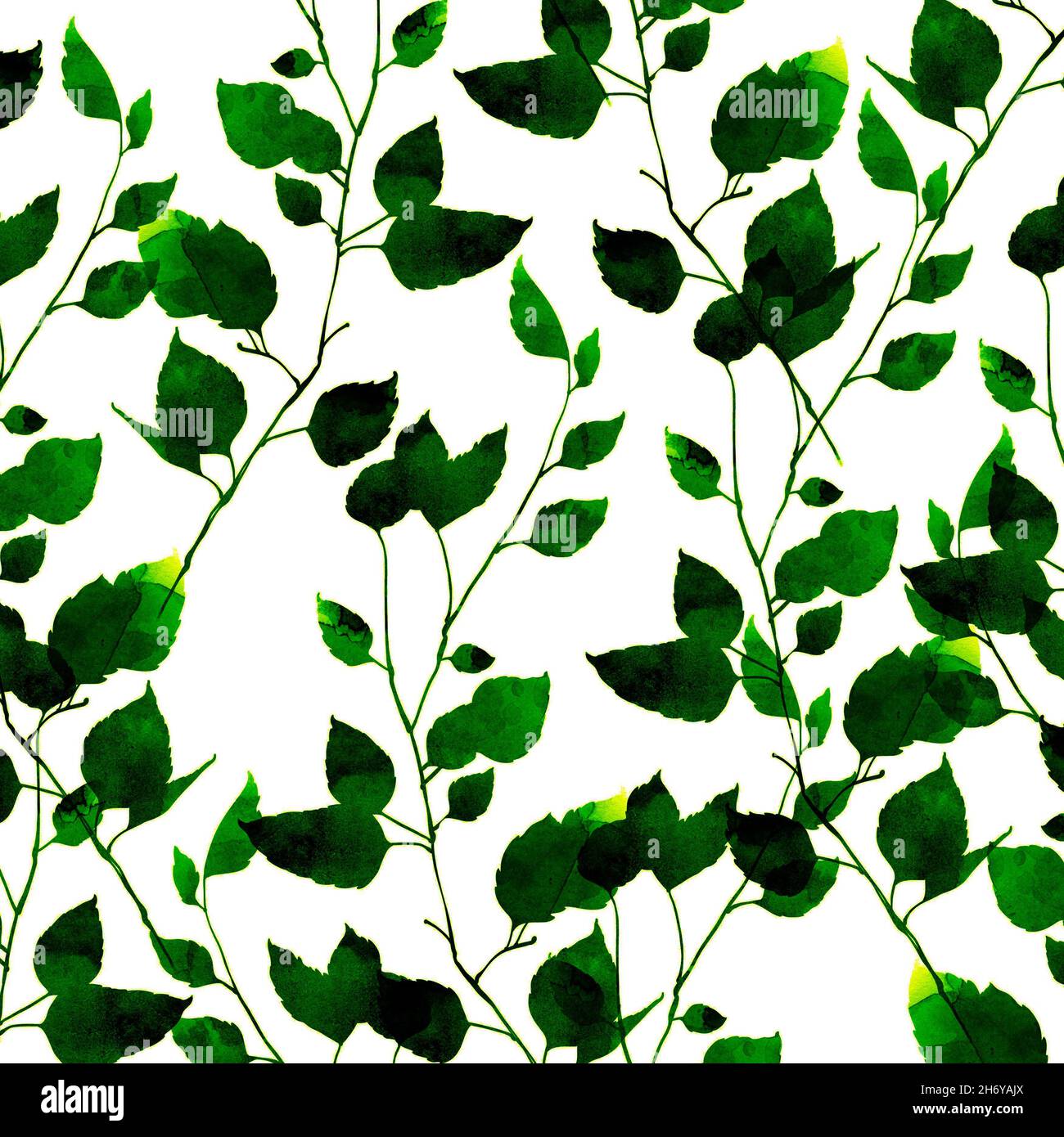bianco e verde lascia lo sfondo Foto Stock
