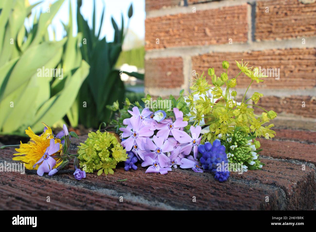 Bouquet di fiori di campo Foto Stock