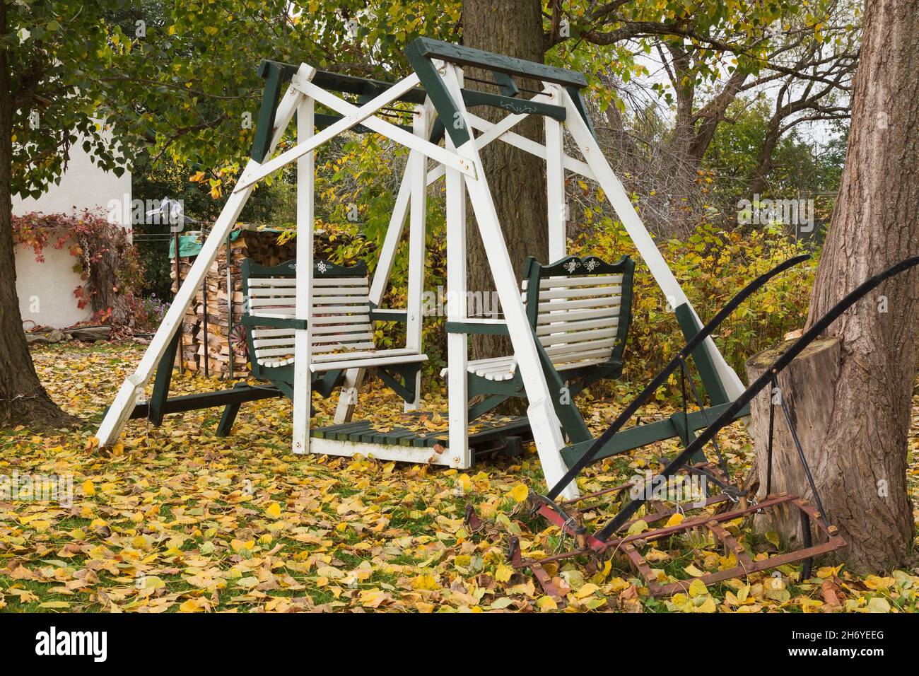 Altalena bianca e verde a 4 posti sul retro in autunno. Foto Stock