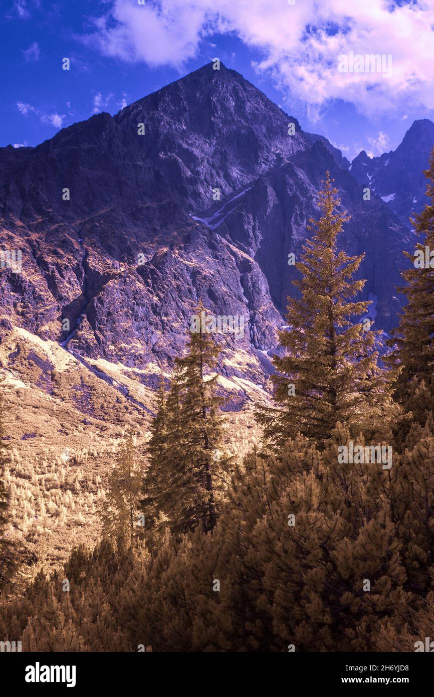 Montagne di Tatra in infrarosso durante l'estate Foto Stock