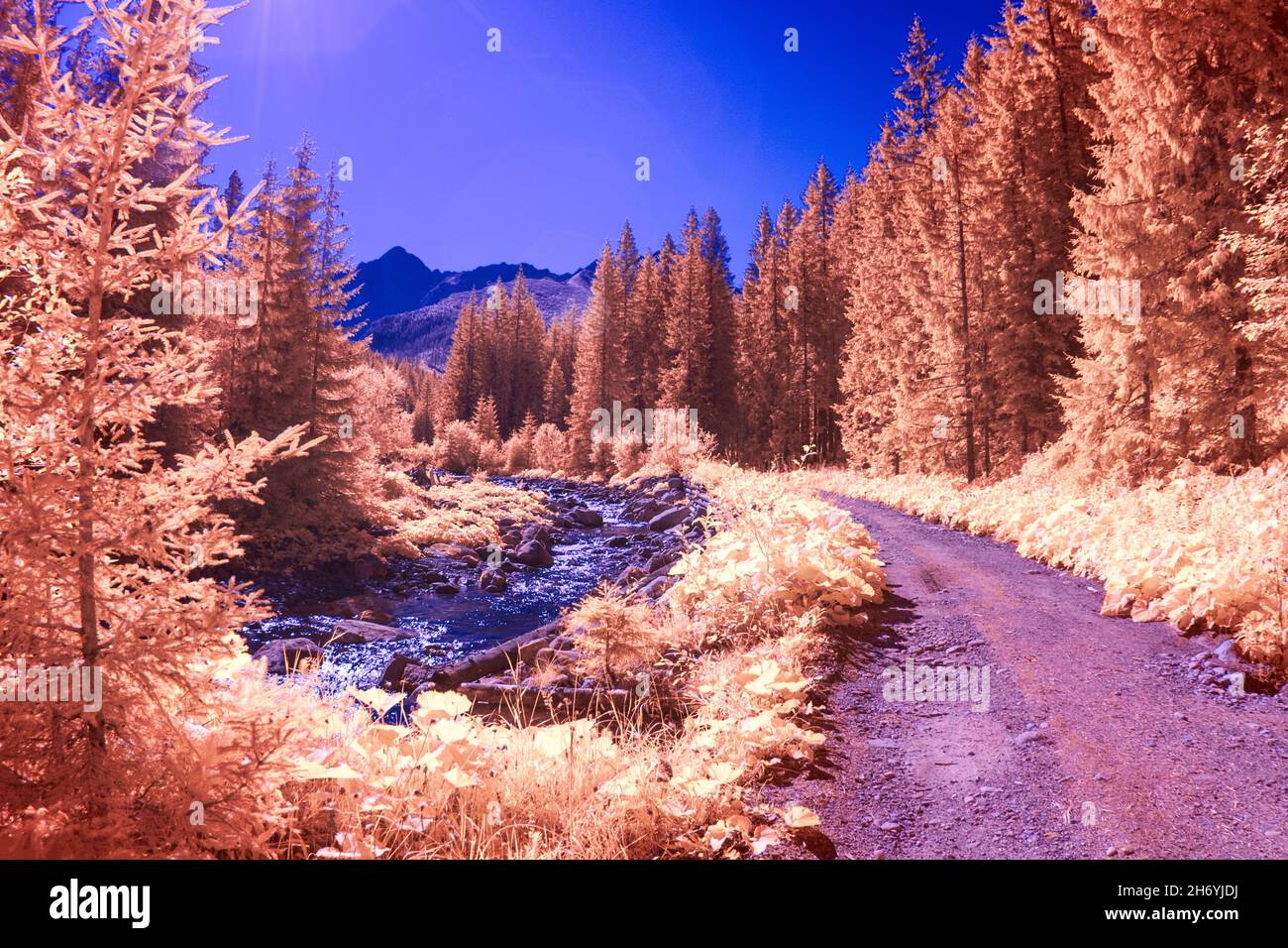 Montagne di Tatra in infrarosso durante l'estate Foto Stock