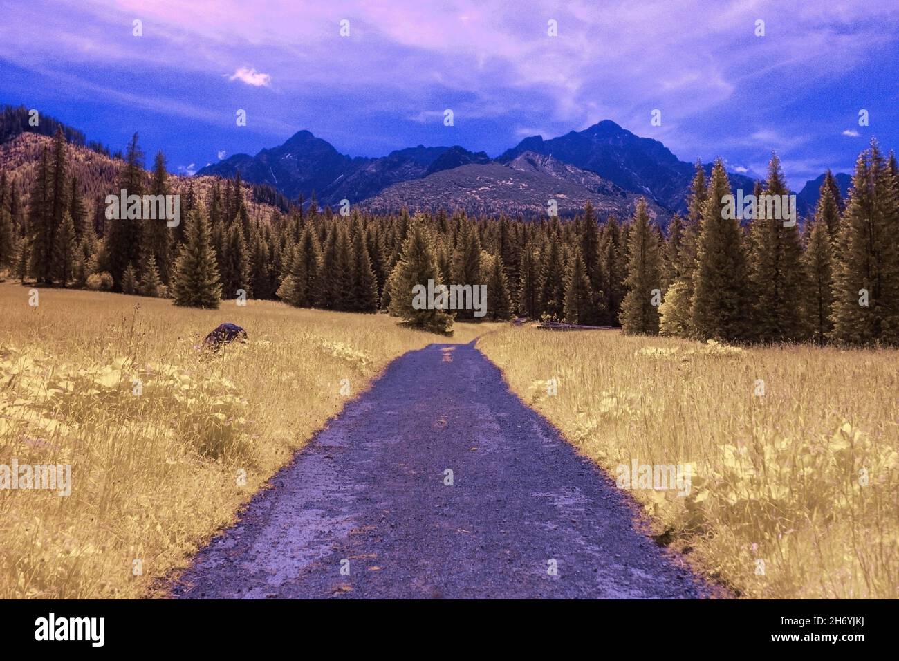 Montagne di Tatra a infrarossi Foto Stock