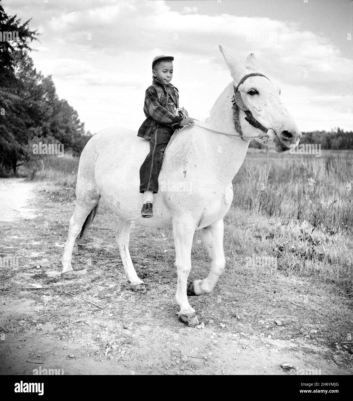 Boyd Jones guida uno dei suoi Maule del Padre nella loro fattoria, Greene County, Georgia, USA, Jack Delano, U.S. Farm Security Administration, U.S. Office of War Information Photograph Collection, novembre 1941 Foto Stock