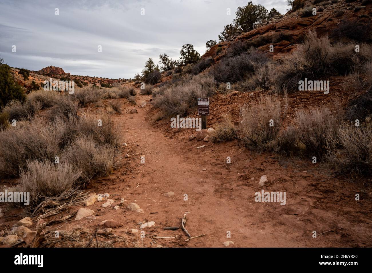 Il sentiero si spegne per l'onda sul Northern Coyote Buttes Foto Stock