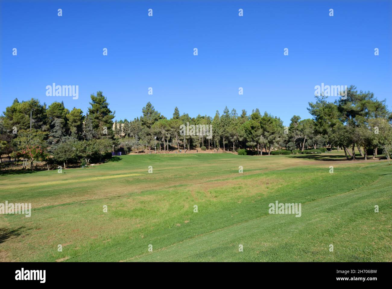 Parco Sacher a Gerusalemme, Israele. Foto Stock