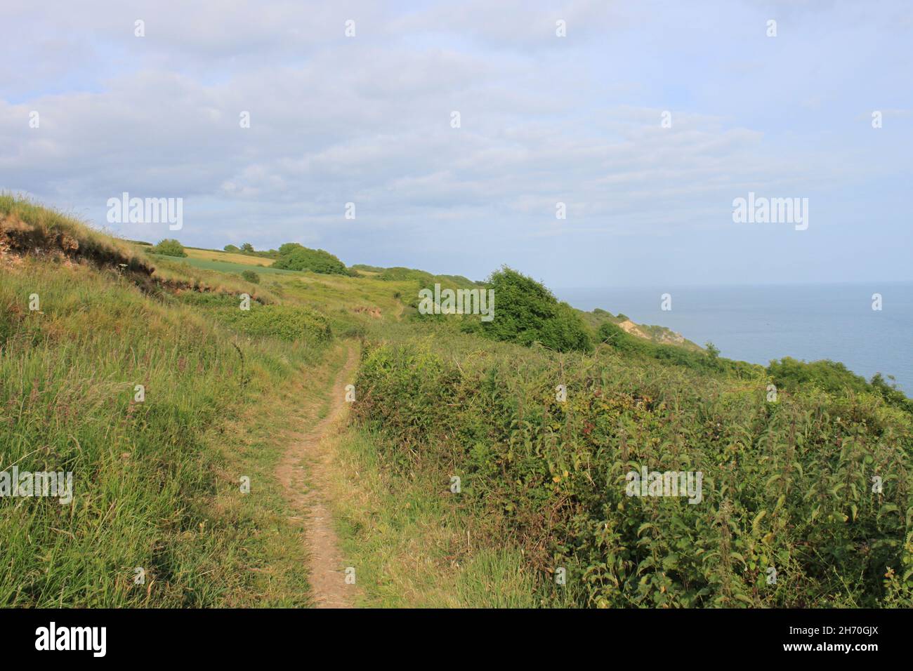 Axmouth - Lyme Regis sotto scogliere. Il percorso della costa sud-occidentale dell'Inghilterra. Sud Devon. Inghilterra. REGNO UNITO Foto Stock