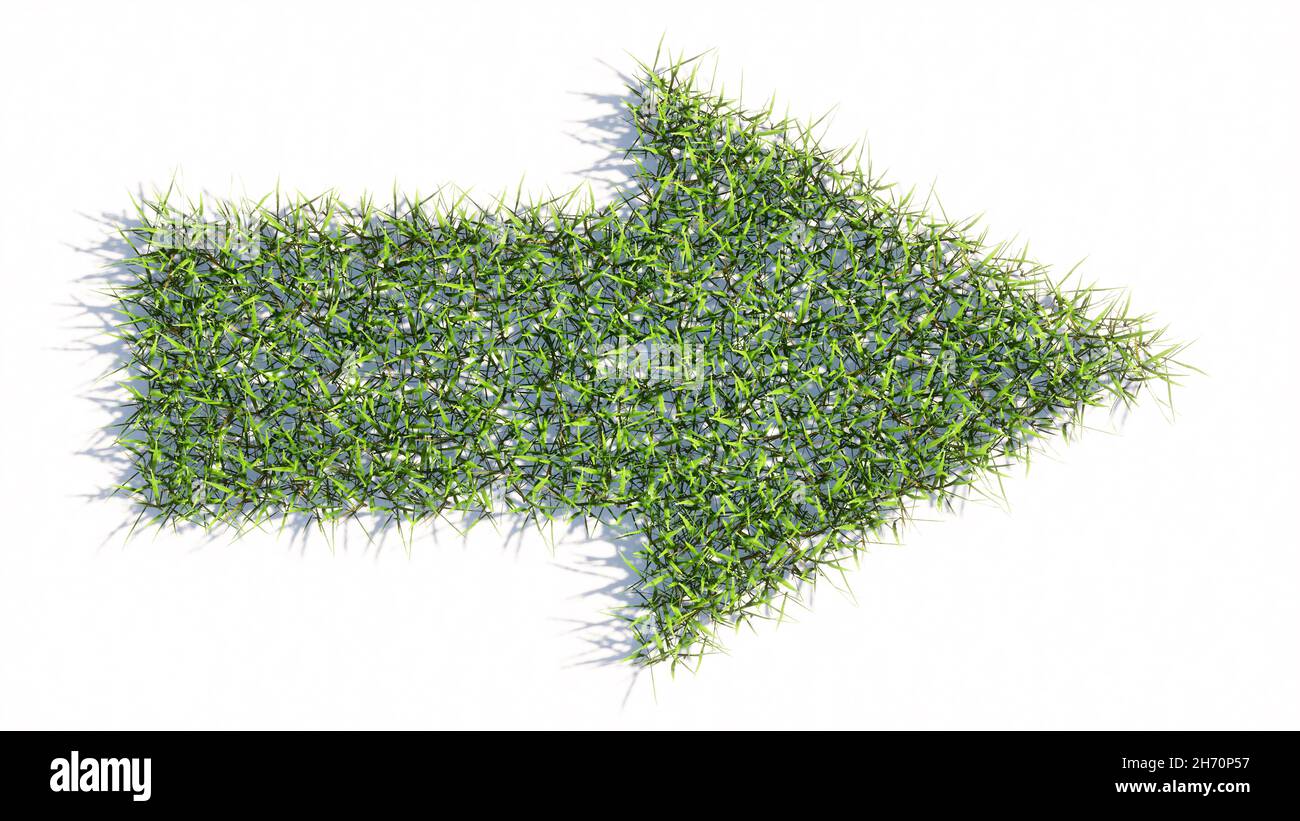 Concetto o concettuale verde estate prato erba simbolo forma isolato sfondo bianco, segnaletica stradale. metafora di illustrazione 3d per la navigazione, strategia Foto Stock