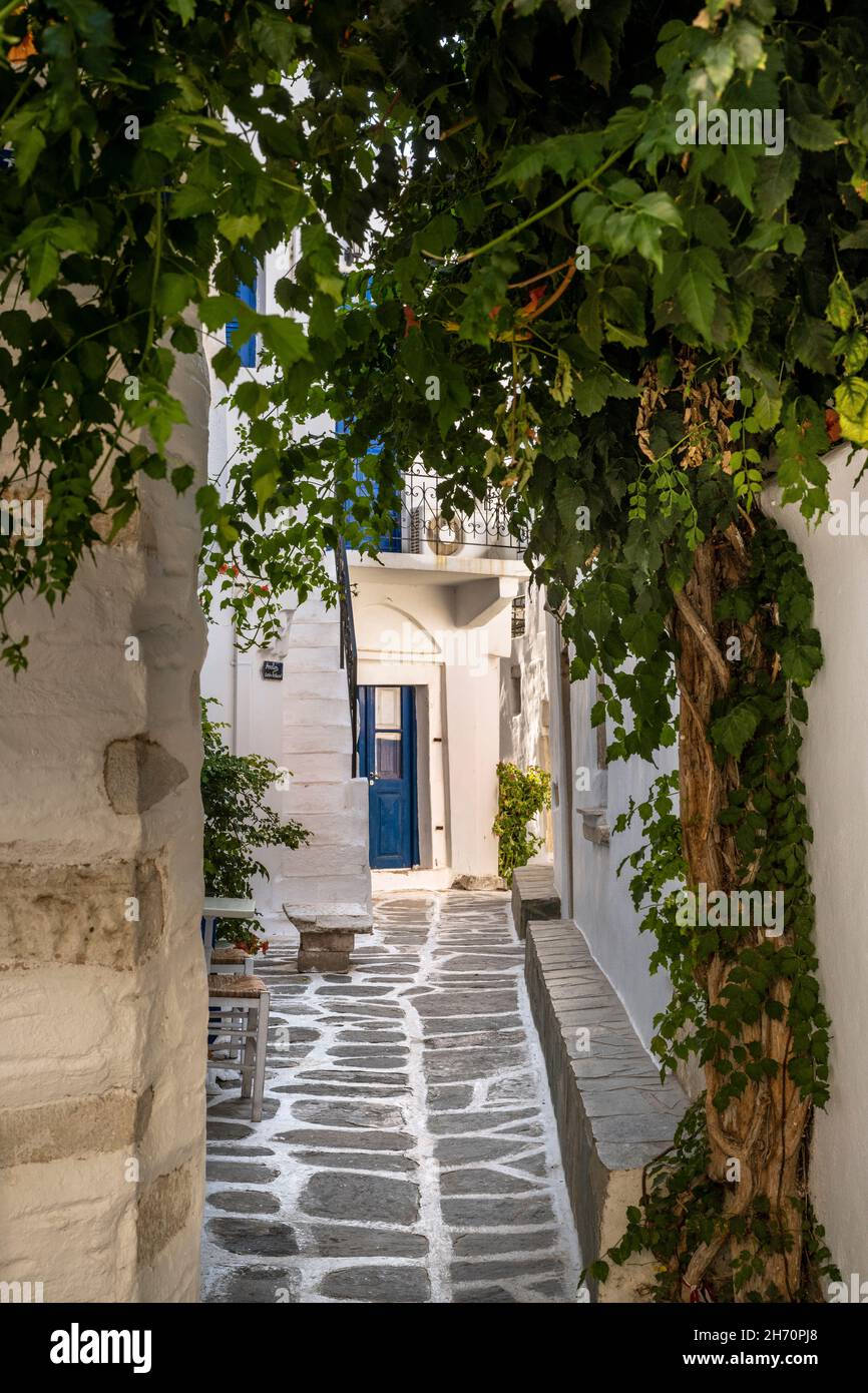 Paros è un'isola greca nel Mar Egeo, meglio conosciuta per le sue spiagge e villaggi tradizionali. Parikia, la capitale della bayside, è una barca per il Cyc Foto Stock