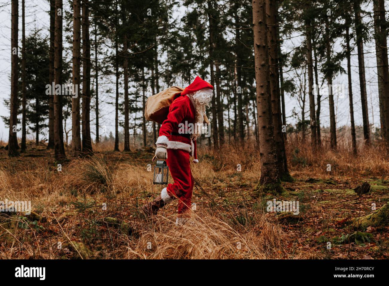 Uomo che indossa il costume di Santa nella foresta Foto Stock