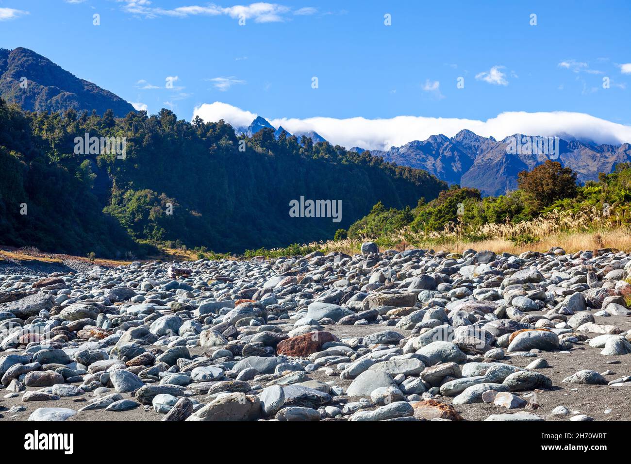 Okarito asciugò il letto di fiume in Nuova Zelanda Foto Stock