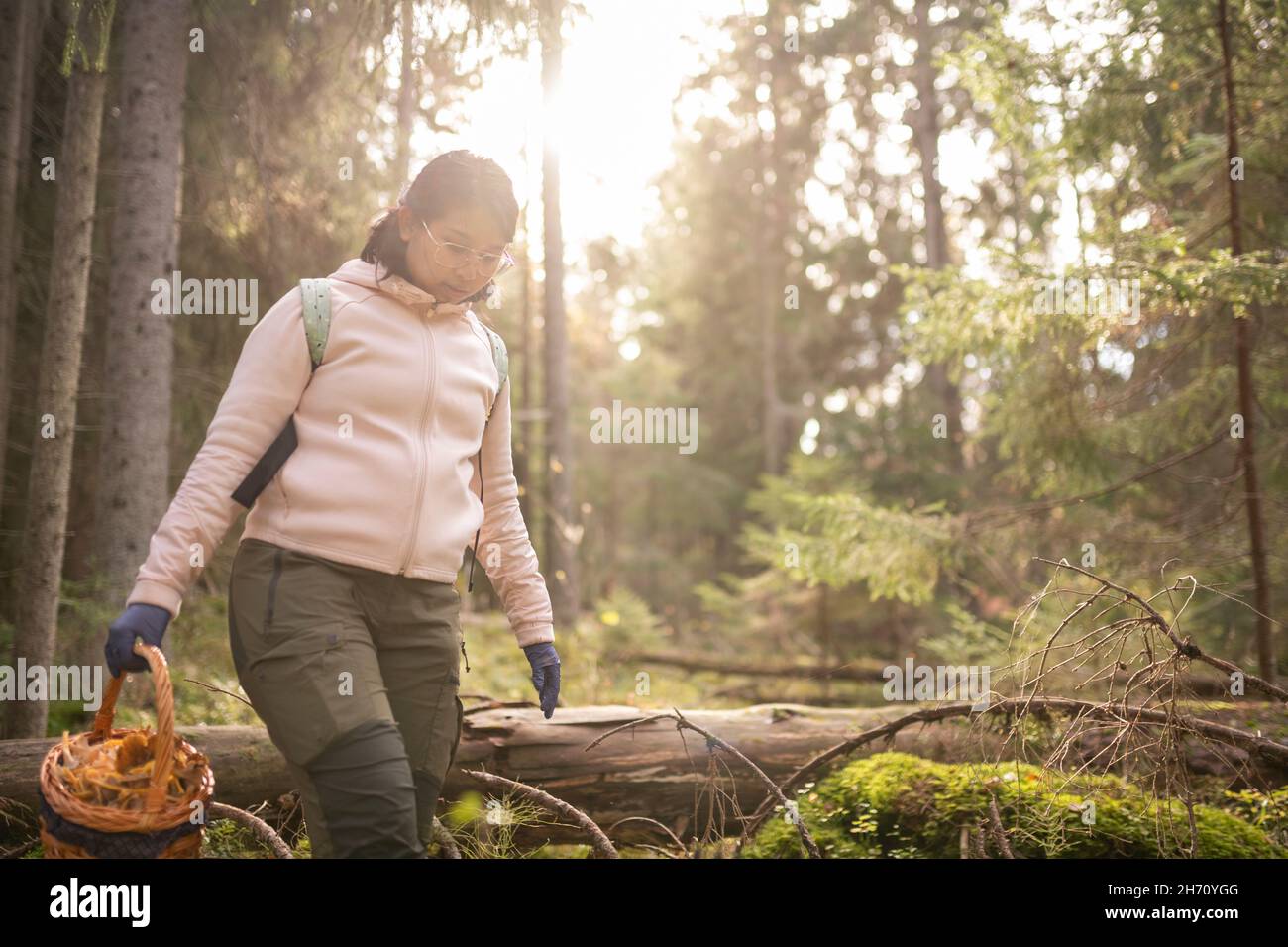 La donna la raccolta di funghi in foresta Foto Stock