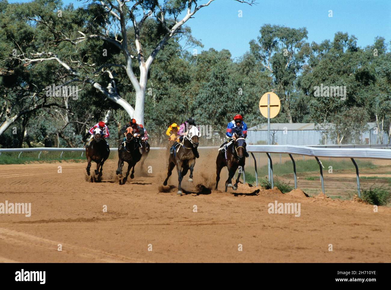 Australia. Territorio del Nord. Corse di cavalli su pista sterrata. Foto Stock