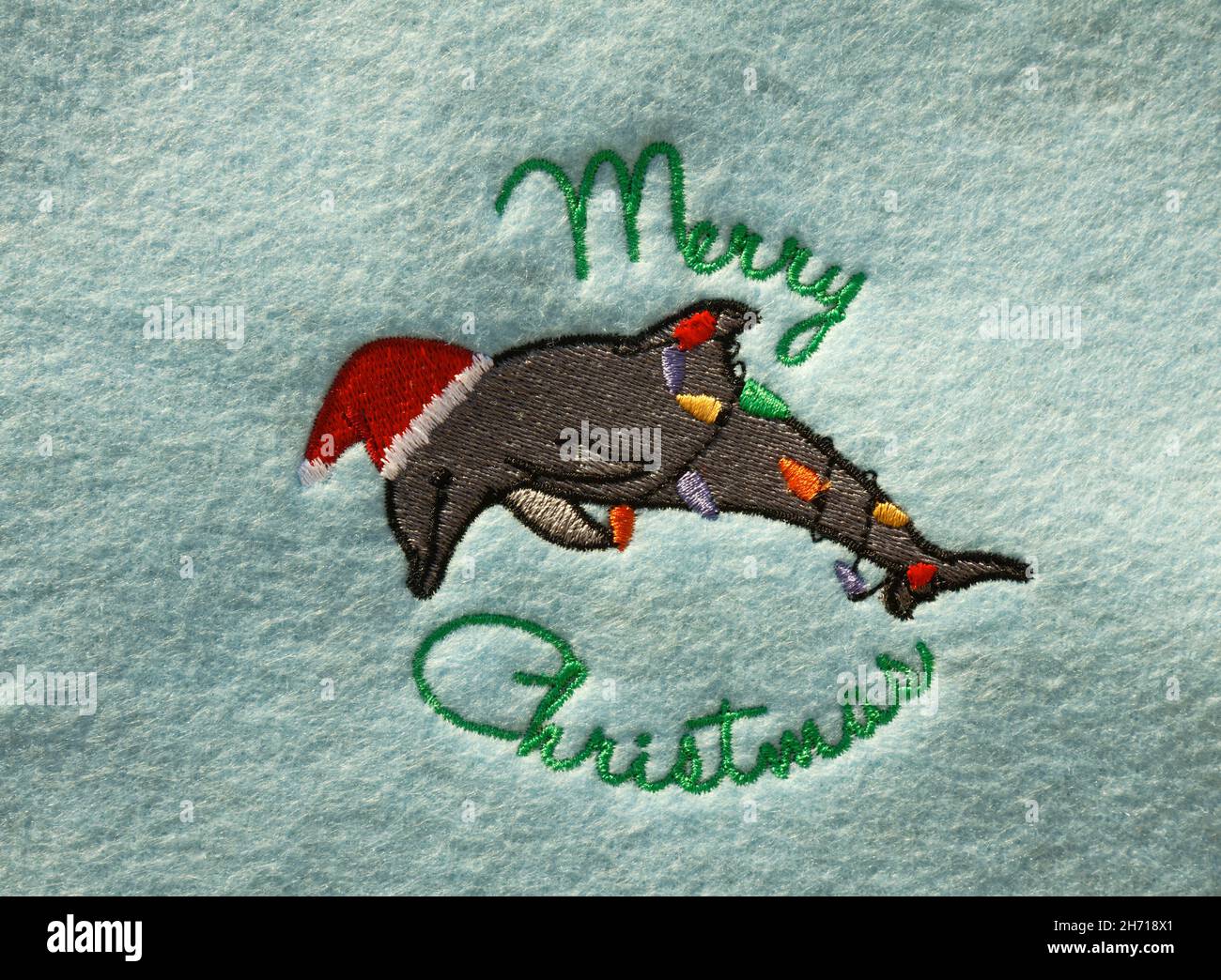 Disegno di Natale, delfino, luci, cappello di Santa, ricamo, vacanza, decorazione, figura animale, parole, testo, Buon Natale, PR Foto Stock