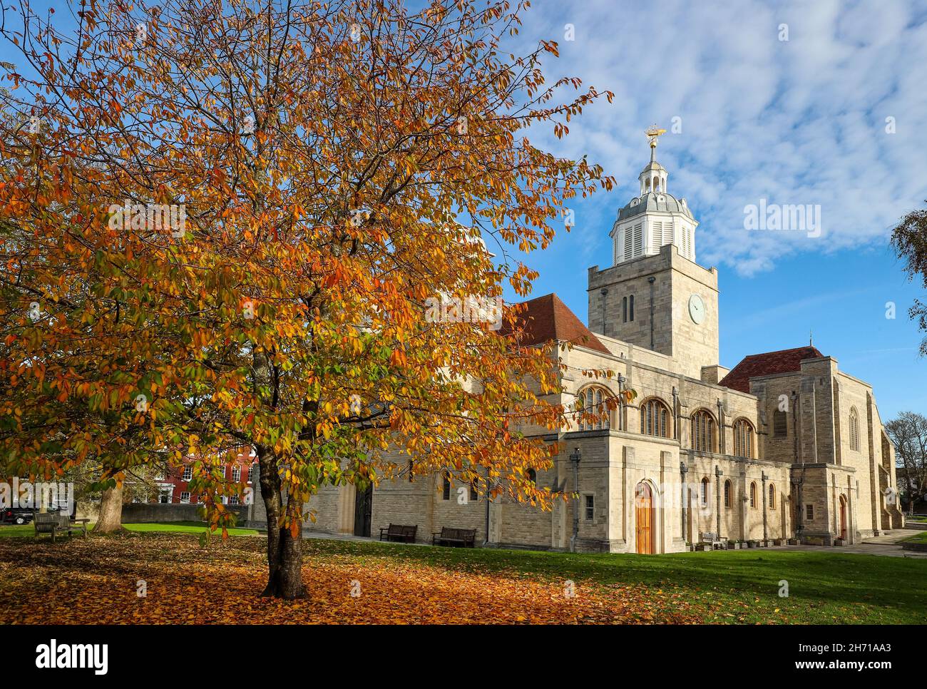 Cattedrale di Portsmouth nella foto di Autunno, Portsmouth, Hampshire, Regno Unito Foto Stock