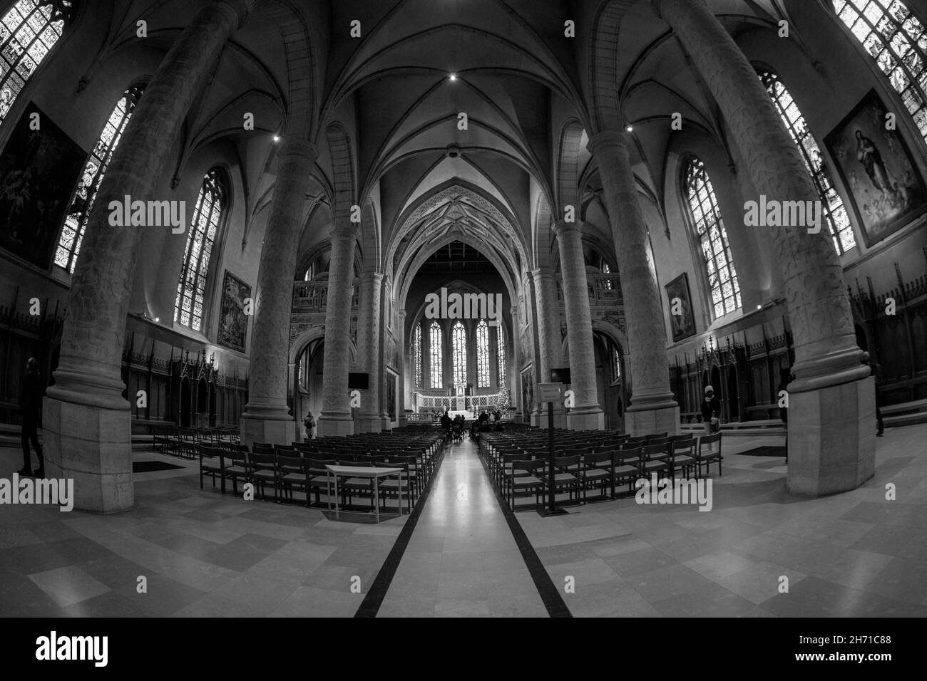 Vista interna della Cattedrale di Notre Dame. Lussemburgo, Lussemburgo. Foto Stock