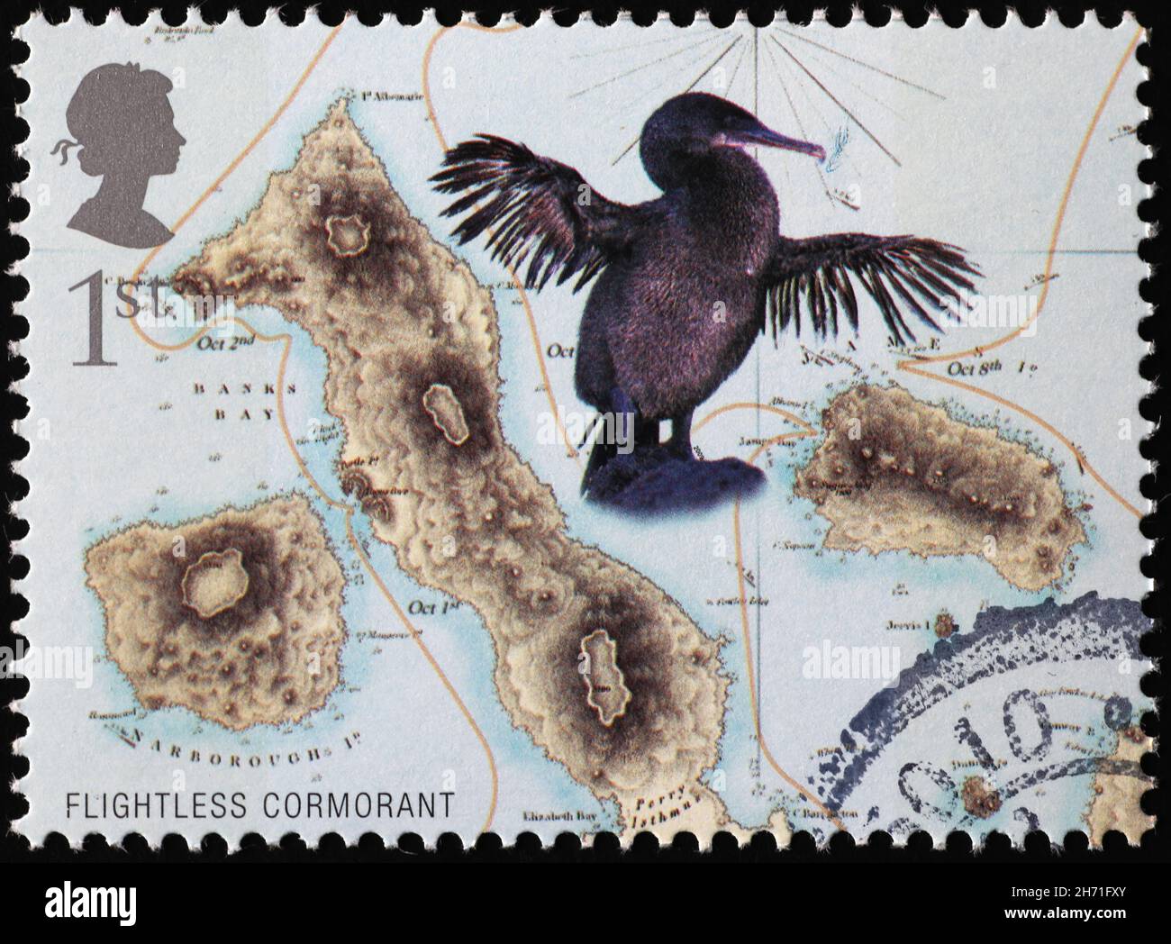 Cormorano senza luce sul francobollo delle isole Galapagos Foto Stock