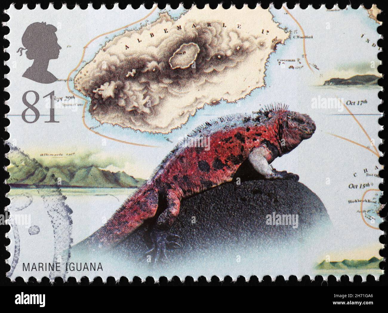 Iguana marina su francobollo delle isole Galapagos Foto Stock