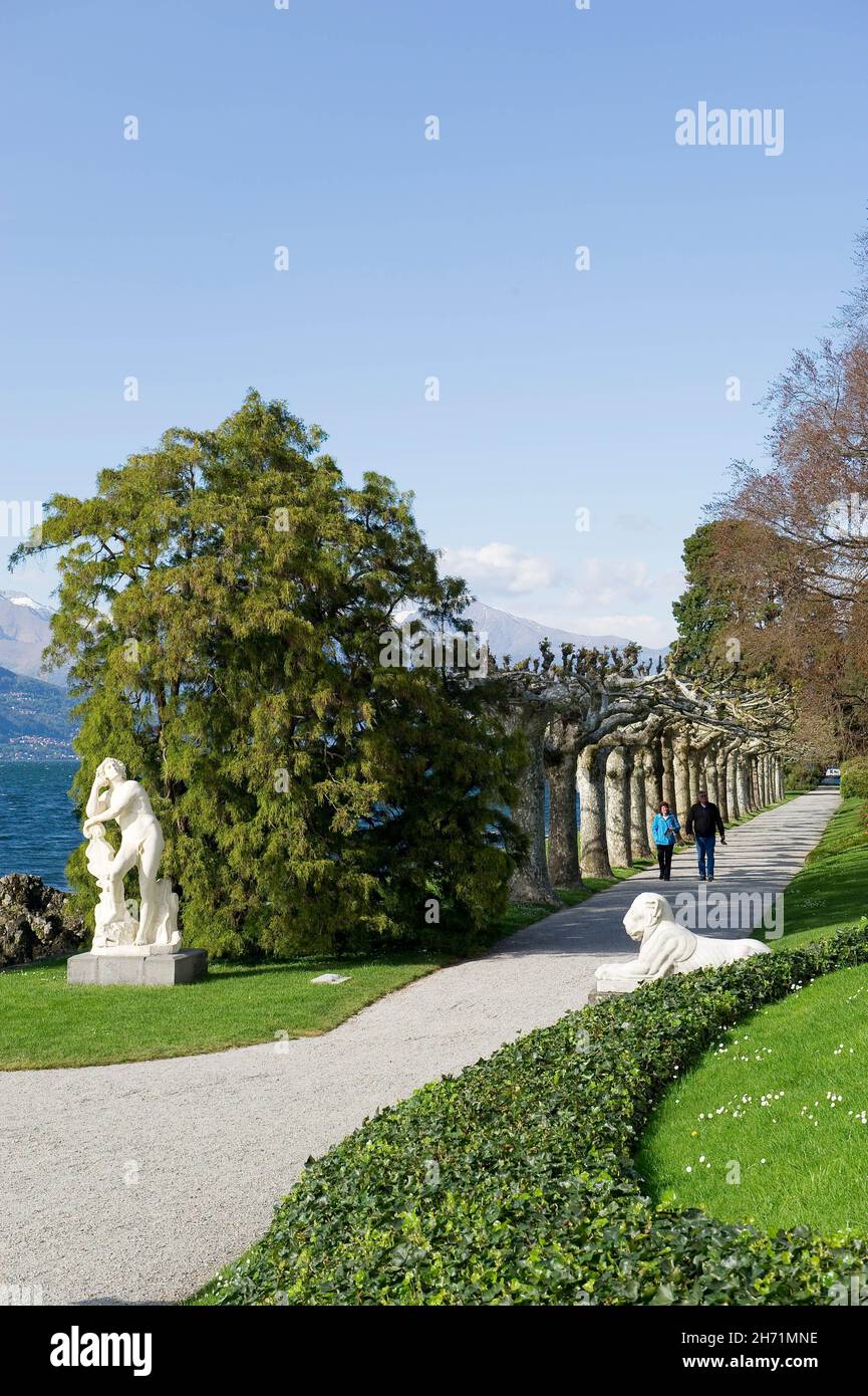 Italia, Lombardia, Lago di Como, Bellagio, Giardino di Villa Melzi Foto © Sandro Michahelles/Sintesi/Alamy Stock Photo *** Local Caption *** Foto Stock