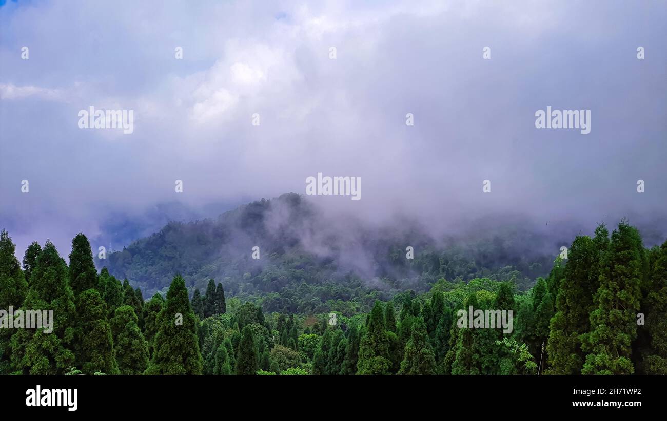 verde valle di montagna piena di nuvola pesante al mattino immagine è preso a darjeeling west bengala india. Foto Stock