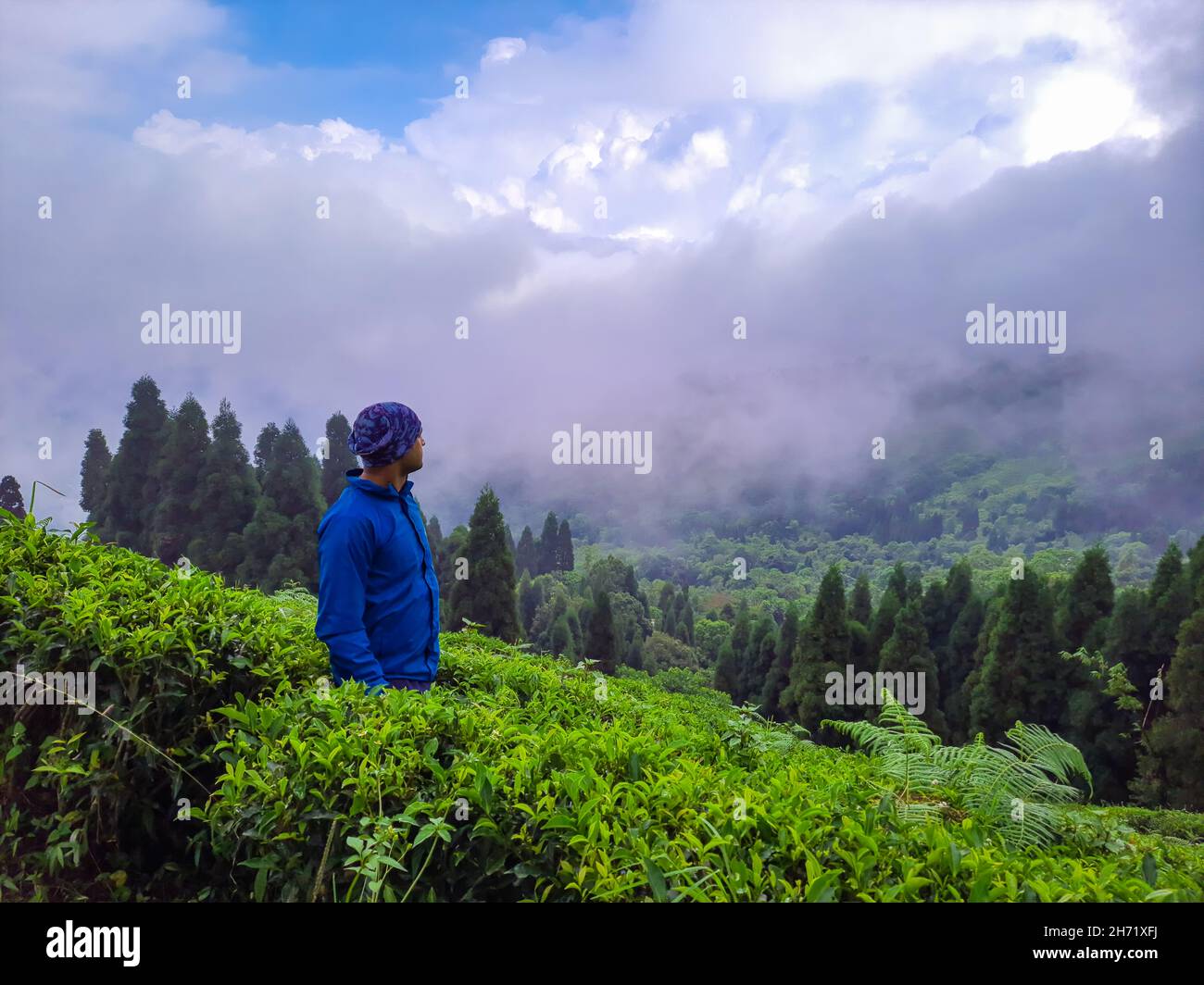 il giovane uomo al giardino del tè con sfondo di montagna e cielo luminoso al mattino immagine è preso a darjeeling west bengala india. Foto Stock