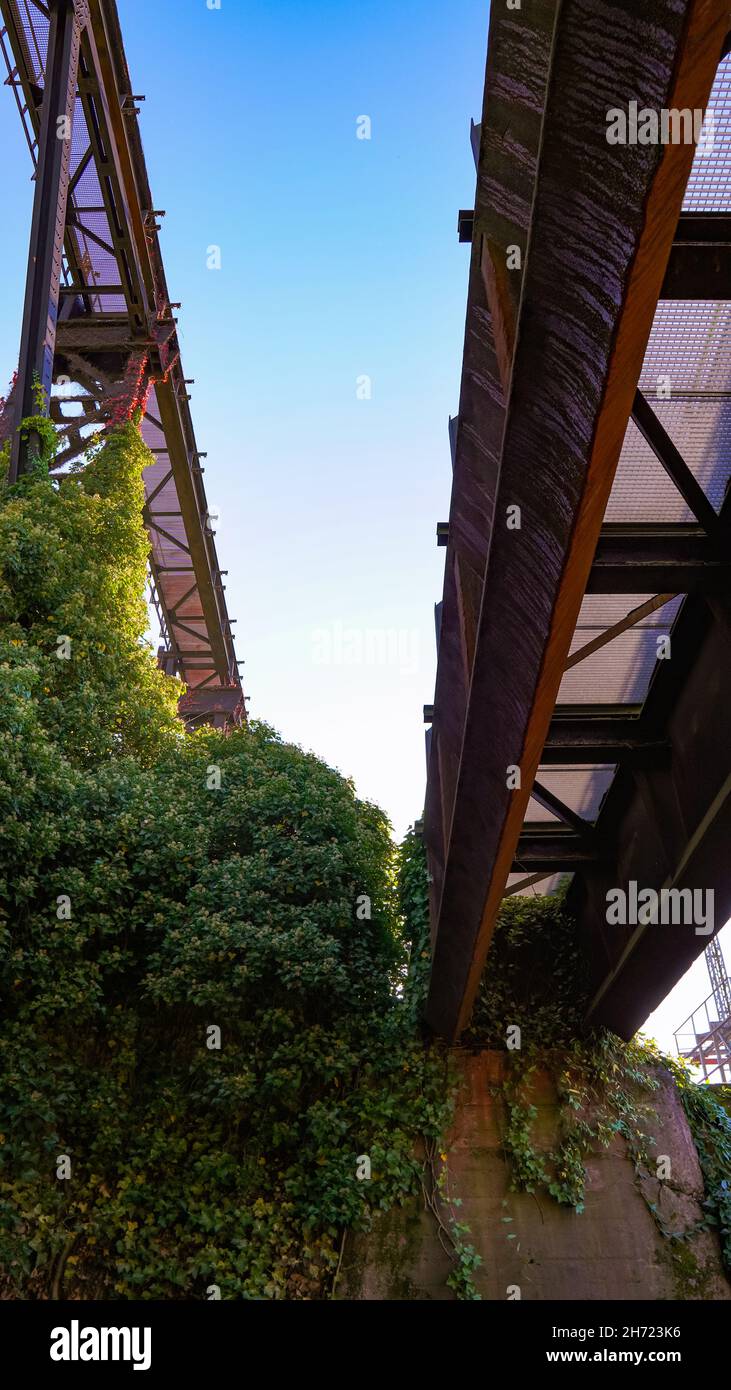 Vecchi ponti industriali arrugginiti in contrasto con la natura Foto Stock