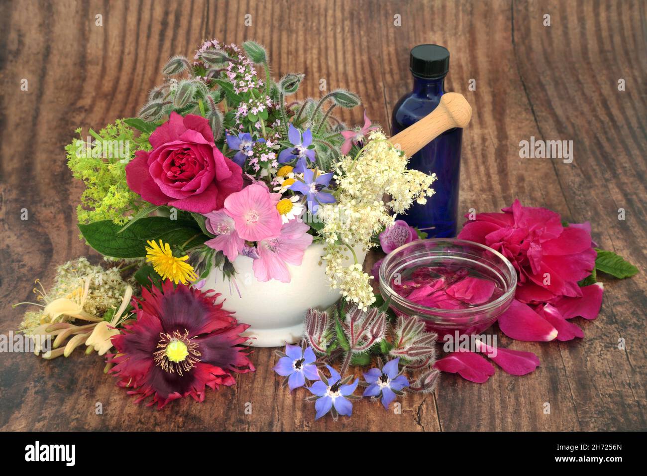 Medicina naturale della pianta curativa con erbe fresche e fiori per rimedi aromatherapy usando l'olio essenziale. Concetto di benessere alternativo. Foto Stock