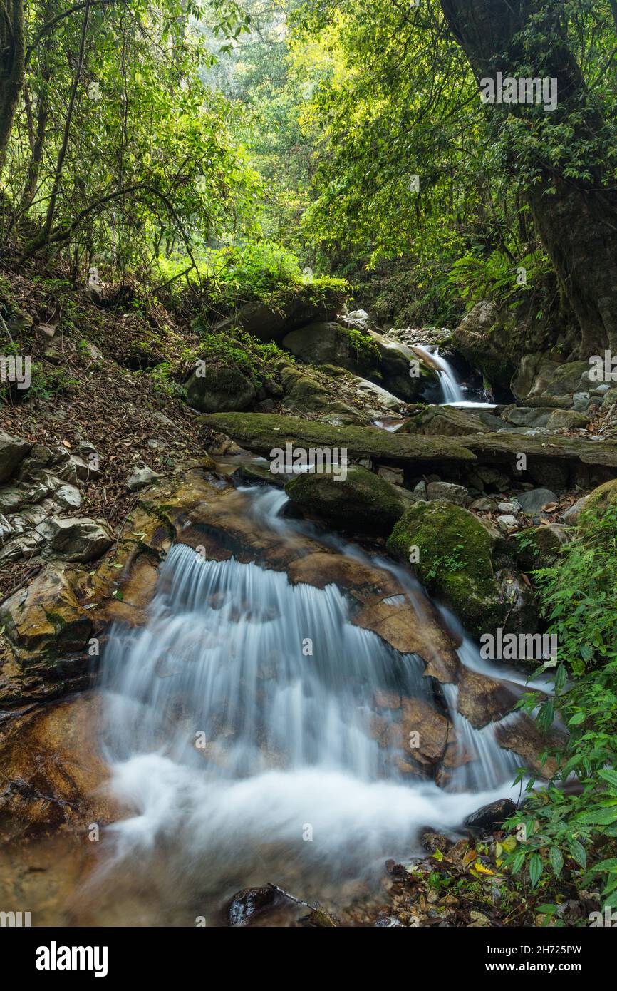 Un piccolo ruscello di montagna nelle montagne del Bhutan. Foto Stock