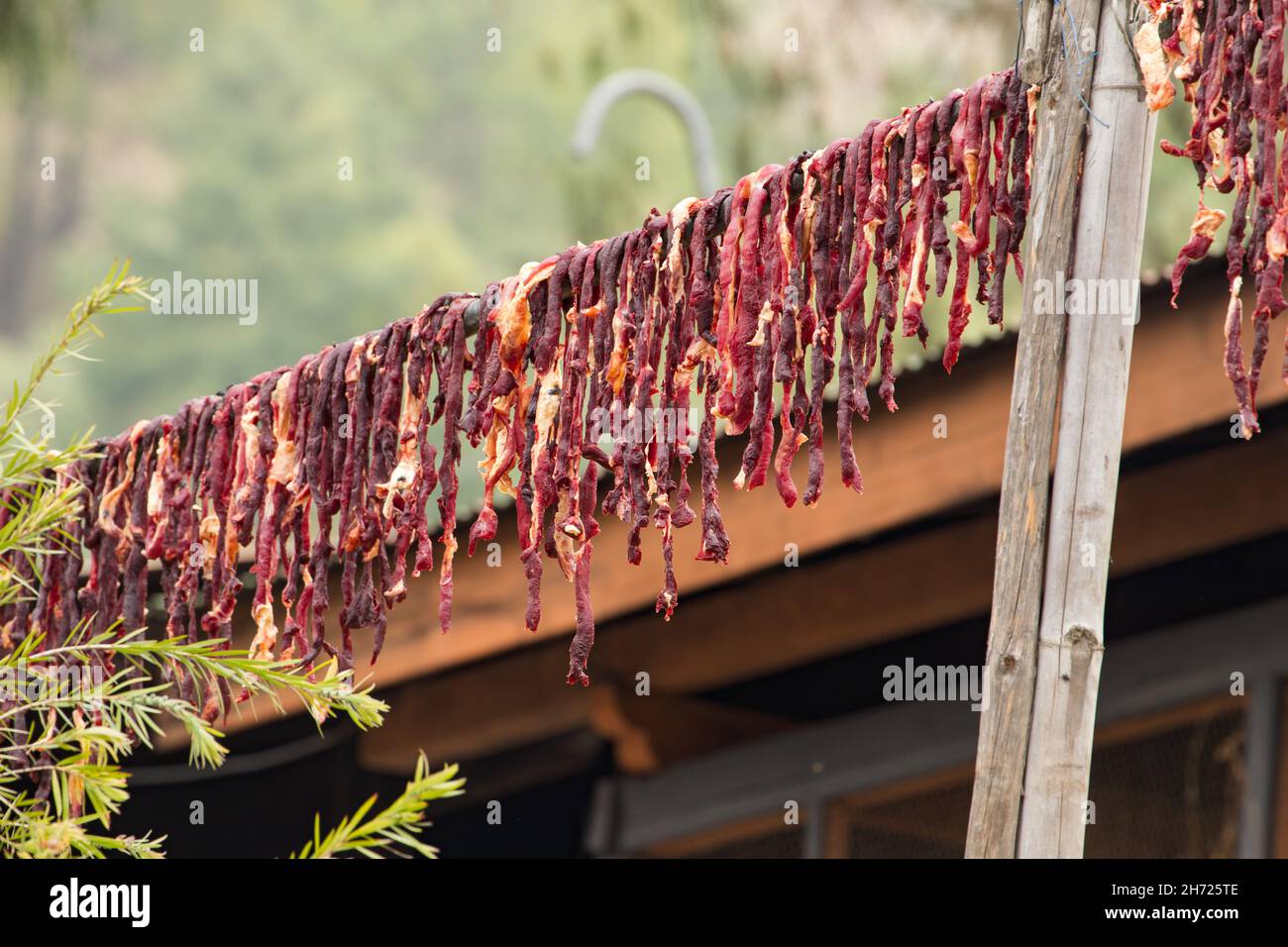 Strisce di manzo chiamato shakam appeso fuori per asciugare su pali in Bhutan. Foto Stock