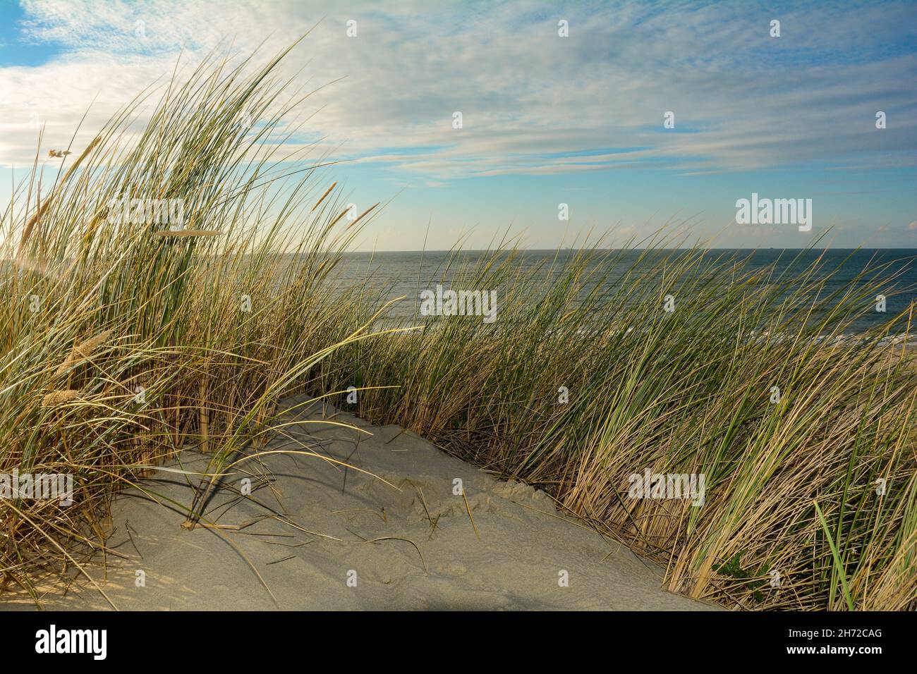 Dune di sabbia con erba spiaggia, mare e cielo Foto Stock