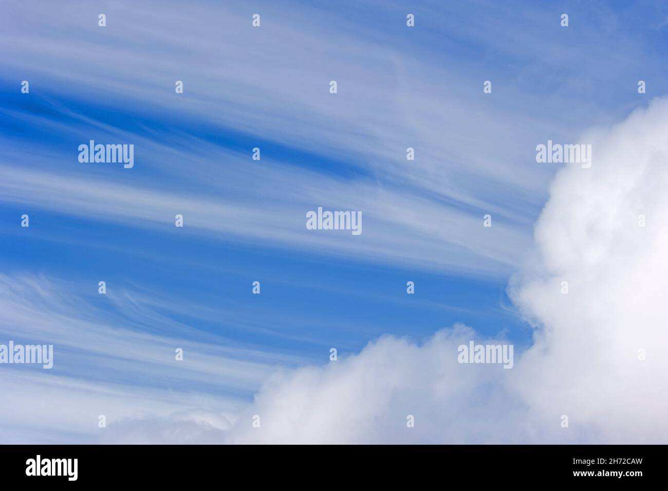 Cirrus fibratus / Cirrus filosus, formazione di nubi ad alta quota Foto Stock