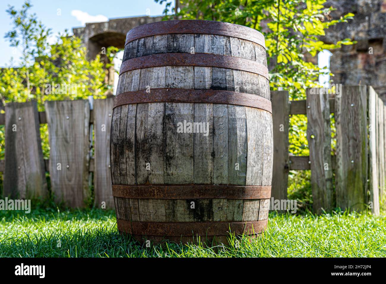 Grande botte di vino di legno con canne arrugginite sull'erba verde Foto Stock