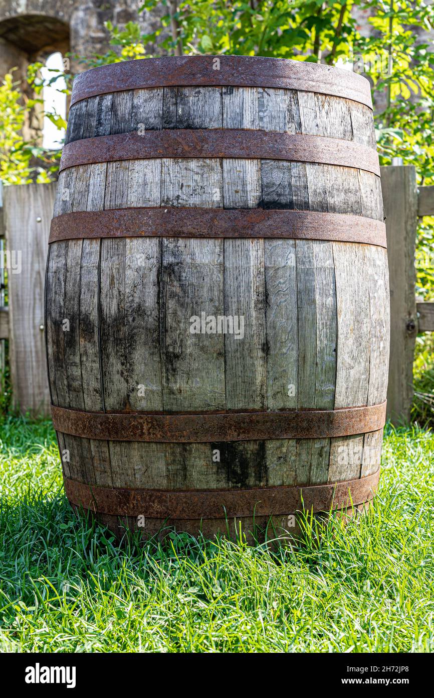 Grande botte di vino di legno con canne arrugginite sull'erba verde Foto Stock
