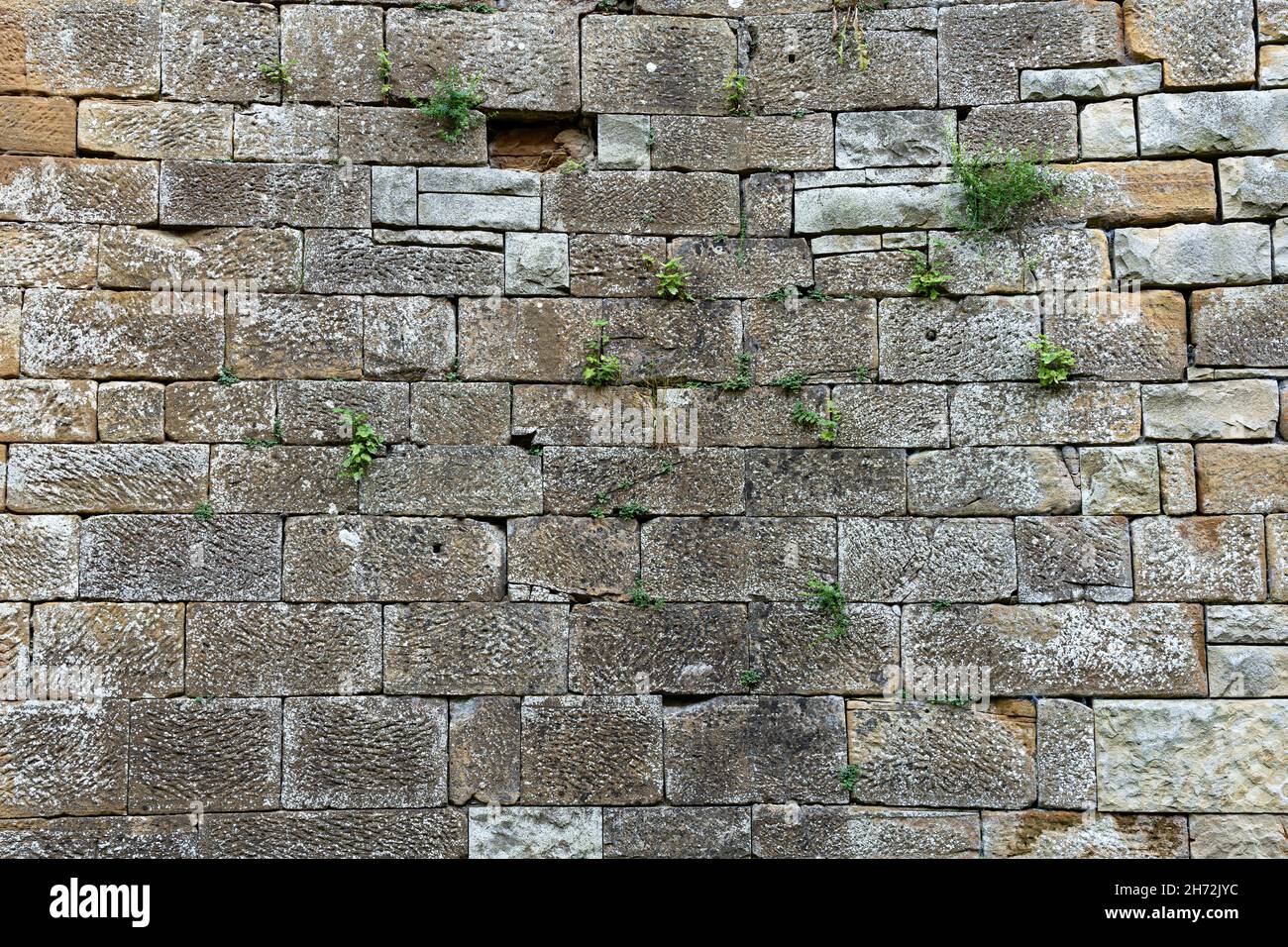 Massicce alte mura di un antico castello medievale Foto Stock