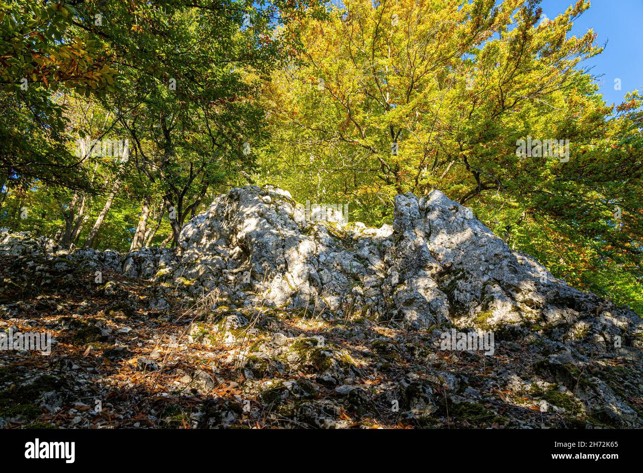 Rocce bianche nel mezzo di una foresta autunnale Foto Stock