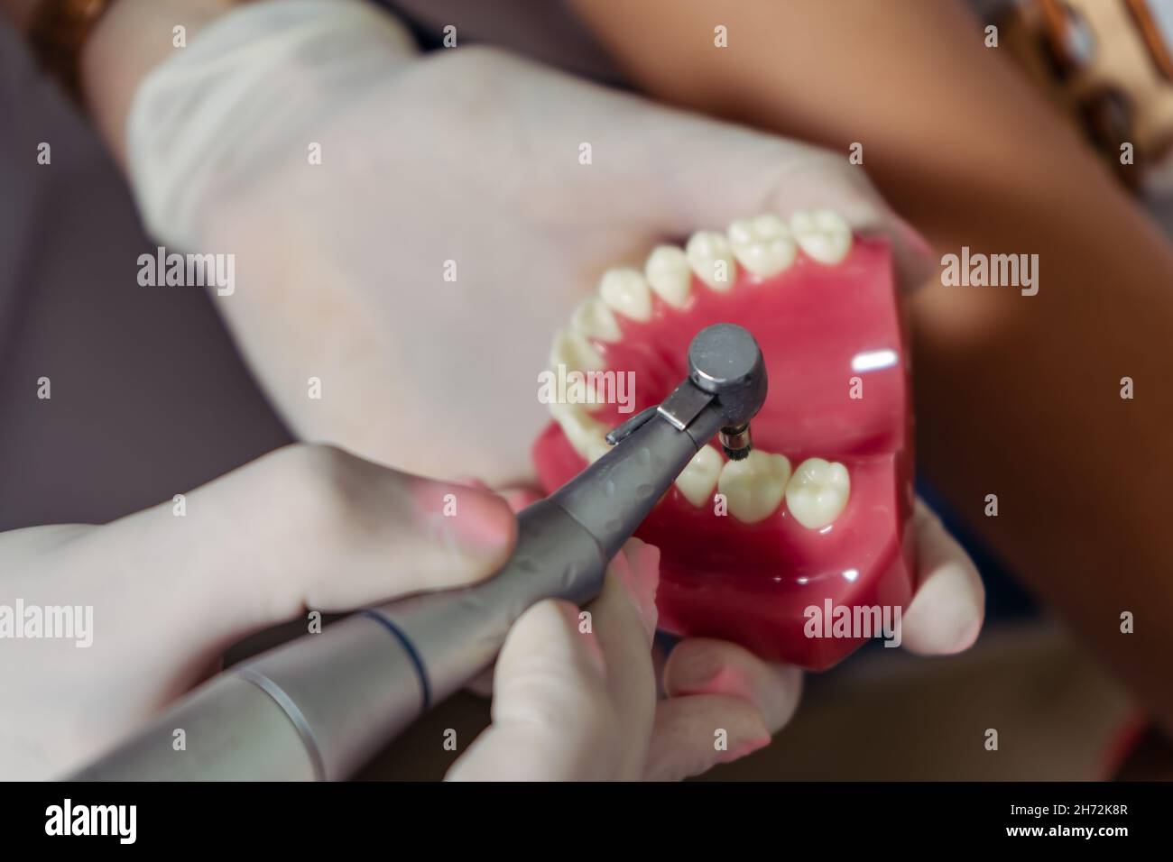 Dentista che insegna il trattamento da eseguire su un modello di dentiera. Concetto di cura dentale, assistenza sanitaria. Foto Stock