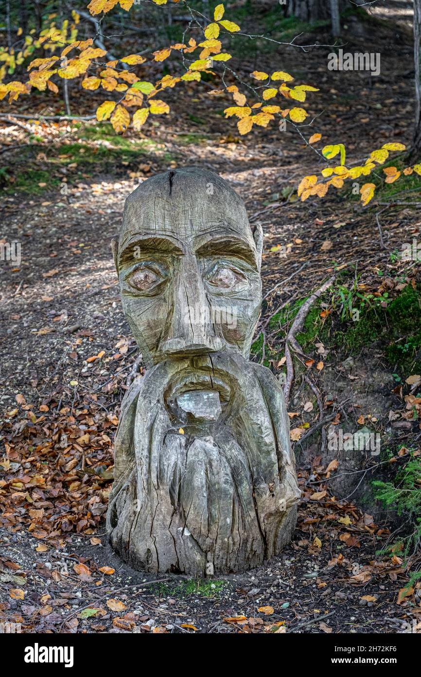 Testa di legno di un vecchio barbuto nel mezzo della foresta Foto Stock