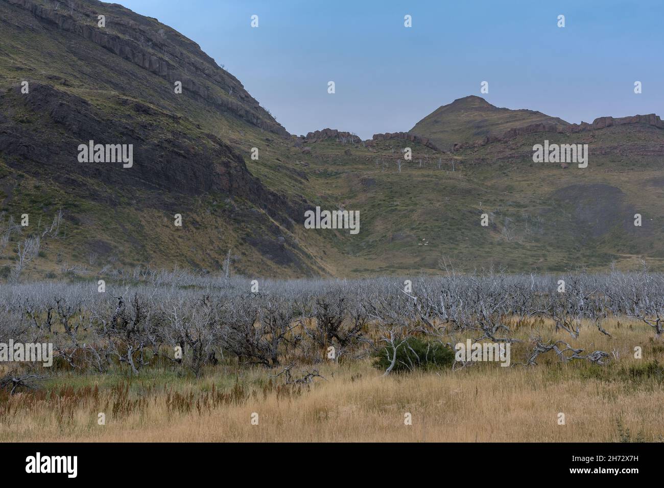 Paesaggio nel Parco Nazionale Torres del Paine, Cile Foto Stock