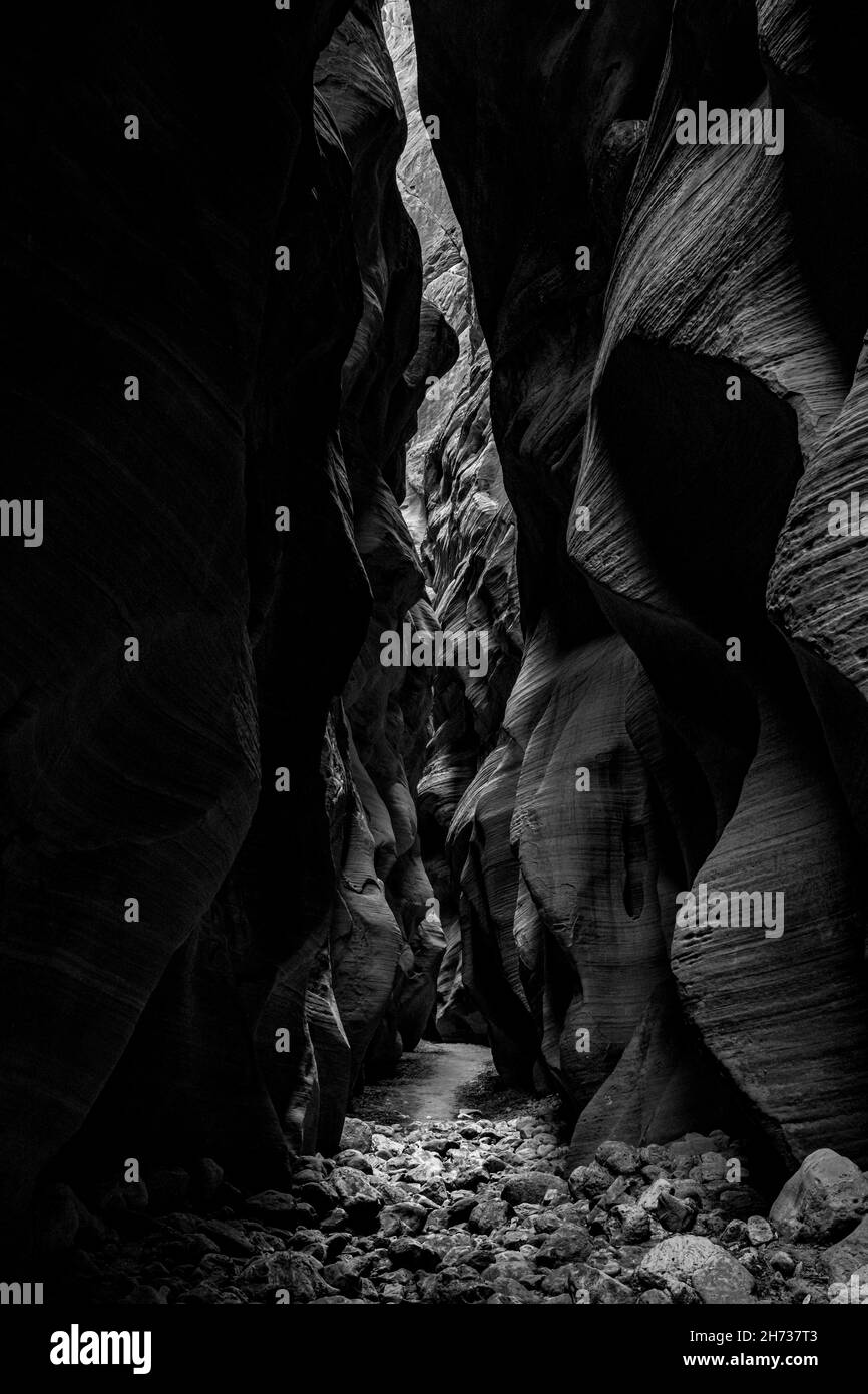 Boulder Stregn Floor e Tall Walls di Buckskin Gulch Foto Stock