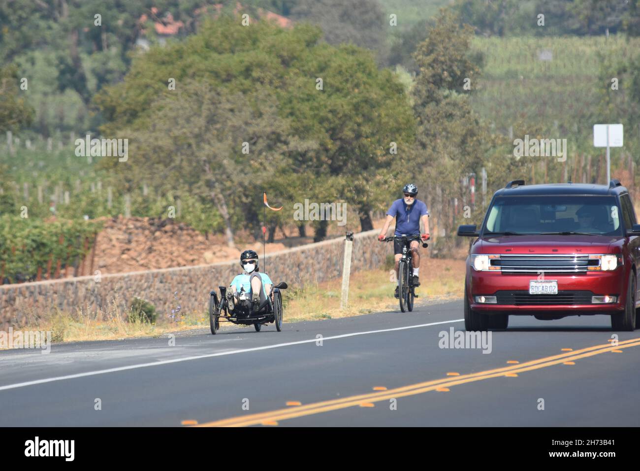 Cavalcando la pista ciclabile di Silverado nella regione vinicola della Napa Valley nella California settentrionale, in bicicletta normale e in bicicletta ricombinante, tra uva da vino e auto Foto Stock