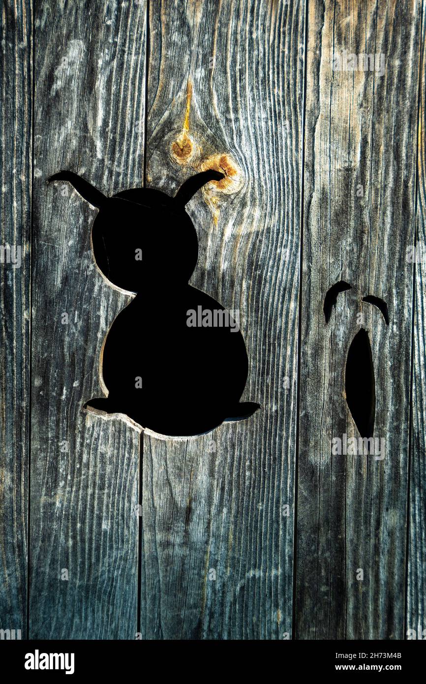 Coniglio (rappresentazione animale) su una porta di legno. Puy de Dome. Auvergne Rodano Alpi. Francia Foto Stock