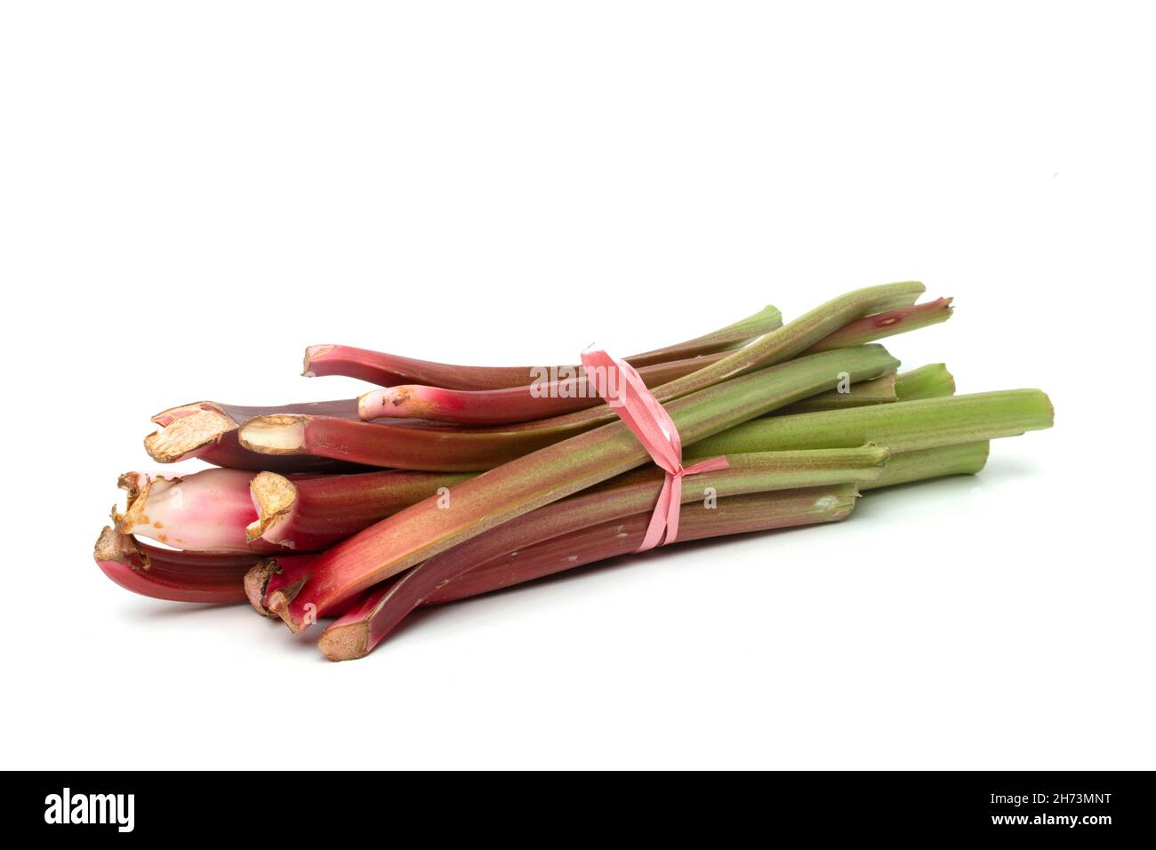 Gambi di rabarbaro appena raccolti legati insieme su uno sfondo bianco, che mostrano colori vivaci e texture uniche Foto Stock