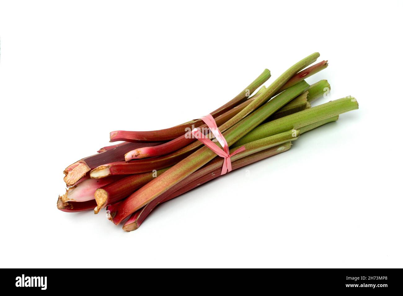 Gambi di rabarbaro appena raccolti legati insieme su uno sfondo bianco, che mostrano colori vivaci e texture uniche Foto Stock