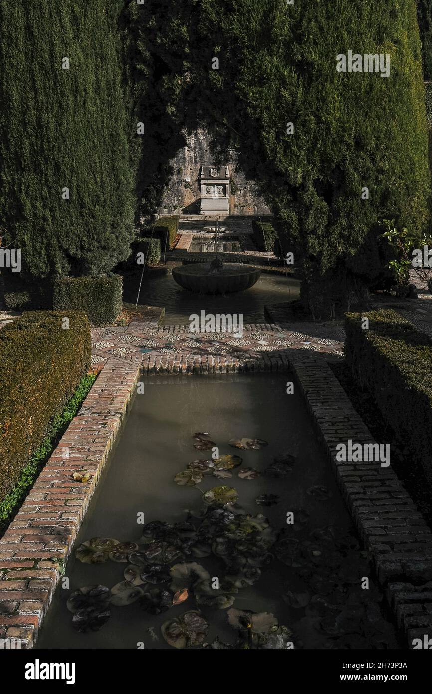 Acqua e ombra nei giardini del Generalife ex rifugio estivo presso il palazzo reale dell'Alhambra nella città di Granada, Andalusia, Spagna Foto Stock